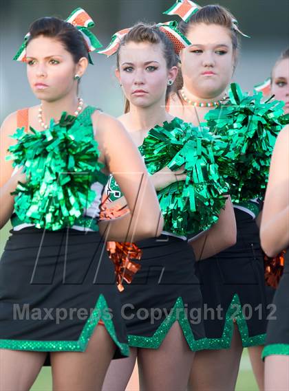 Thumbnail 1 in Dixie Hollins @ Seminole photogallery.
