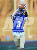 Photo from the gallery "Washington @ Terra Linda"