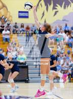 Photo from the gallery "Woodlan @ Leo"