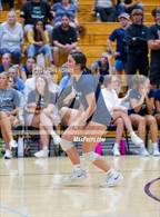 Photo from the gallery "Woodlan @ Leo"