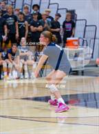 Photo from the gallery "Woodlan @ Leo"