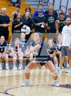 Photo from the gallery "Woodlan @ Leo"