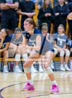 Photo from the gallery "Woodlan @ Leo"