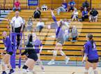 Photo from the gallery "Woodlan @ Leo"