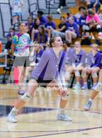 Photo from the gallery "Woodlan @ Leo"