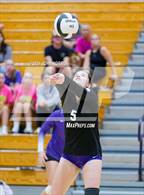 Photo from the gallery "Woodlan @ Leo"
