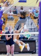 Photo from the gallery "Woodlan @ Leo"