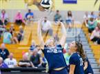 Photo from the gallery "Woodlan @ Leo"
