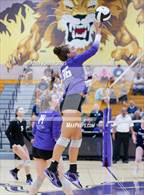 Photo from the gallery "Woodlan @ Leo"