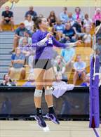 Photo from the gallery "Woodlan @ Leo"