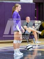 Photo from the gallery "Woodlan @ Leo"