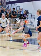 Photo from the gallery "Woodlan @ Leo"