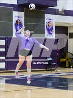 Photo from the gallery "Woodlan @ Leo"