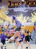 Photo from the gallery "Woodlan @ Leo"