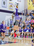 Photo from the gallery "Woodlan @ Leo"