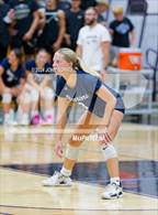 Photo from the gallery "Woodlan @ Leo"