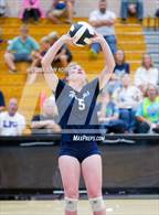 Photo from the gallery "Woodlan @ Leo"