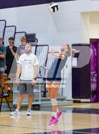 Photo from the gallery "Woodlan @ Leo"