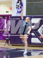 Photo from the gallery "Woodlan @ Leo"