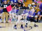 Photo from the gallery "Woodlan @ Leo"