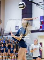 Photo from the gallery "Woodlan @ Leo"