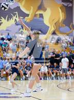 Photo from the gallery "Woodlan @ Leo"