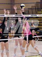 Photo from the gallery "Ukiah @ Windsor"