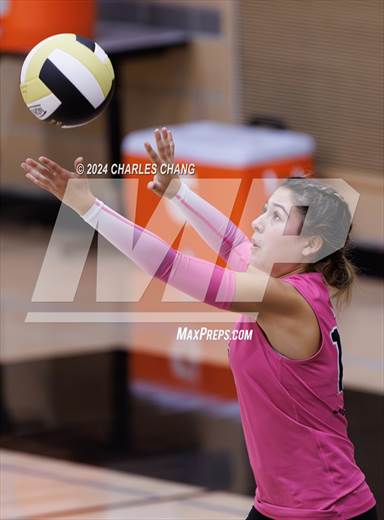 null - Photo 81