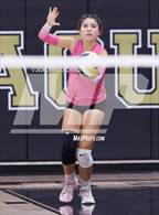 Photo from the gallery "Ukiah @ Windsor"