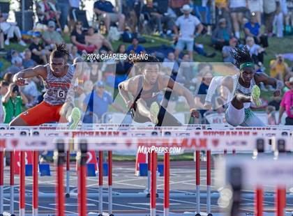 Thumbnail 3 in CIF State Championships (100m Hurdles FInals) photogallery.
