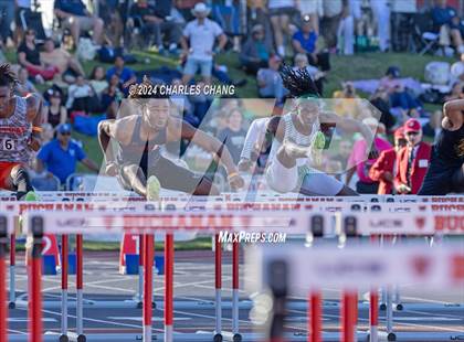 Thumbnail 1 in CIF State Championships (100m Hurdles FInals) photogallery.