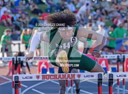 Thumbnail 2 in CIF State Championships (100m Hurdles FInals) photogallery.