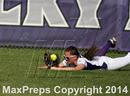 Thumbnail 2 in Eagle @ Rocky Mountain photogallery.