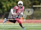 Photo from the gallery "Chester @ Penn Wood"