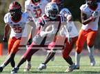 Photo from the gallery "Chester @ Penn Wood"