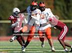 Photo from the gallery "Chester @ Penn Wood"