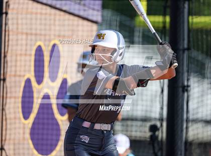 Thumbnail 3 in Hernando @ DeSoto Central photogallery.