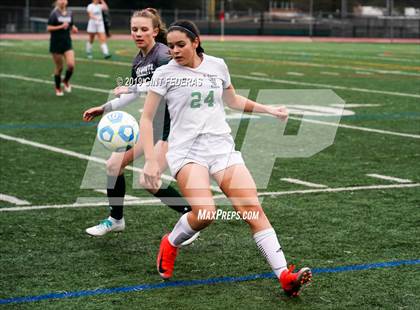Thumbnail 1 in El Camino @ Miramonte (CIF State NorCal Region D4 Final) photogallery.