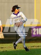 Photo from the gallery "Christian Brothers @ Franklin"