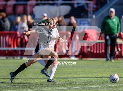 Thumbnail 2 in Olympus vs. Brighton (UHSAA 5A Final) photogallery.