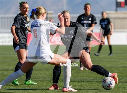 Thumbnail 1 in Olympus vs. Brighton (UHSAA 5A Final) photogallery.