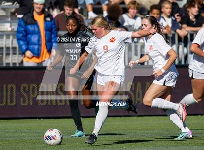 Thumbnail 2 in Olympus vs. Brighton (UHSAA 5A Final) photogallery.