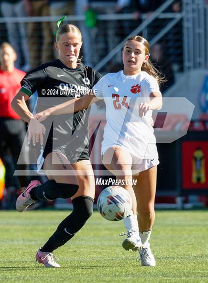 Thumbnail 3 in Olympus vs. Brighton (UHSAA 5A Final) photogallery.