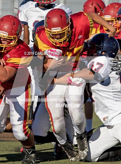 Thumbnail 1 in Citrus Hill @ Hemet photogallery.