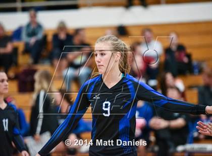 Thumbnail 3 in Ponderosa @ Highlands Ranch photogallery.