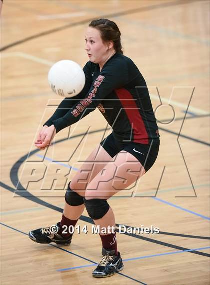 Thumbnail 3 in Ponderosa @ Highlands Ranch photogallery.
