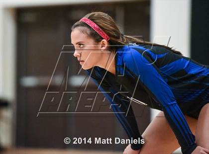 Thumbnail 3 in Ponderosa @ Highlands Ranch photogallery.