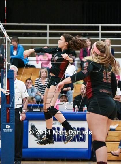 Thumbnail 3 in Ponderosa @ Highlands Ranch photogallery.