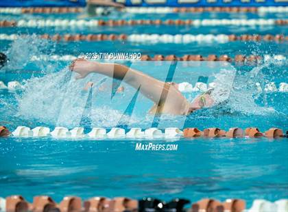 Thumbnail 2 in UIL 6A Swimming & Diving Finals (Swim) photogallery.