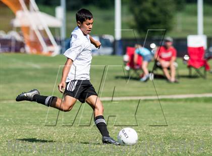 Thumbnail 1 in Forestview v South Point (Gazette Cup Semi-Final) photogallery.